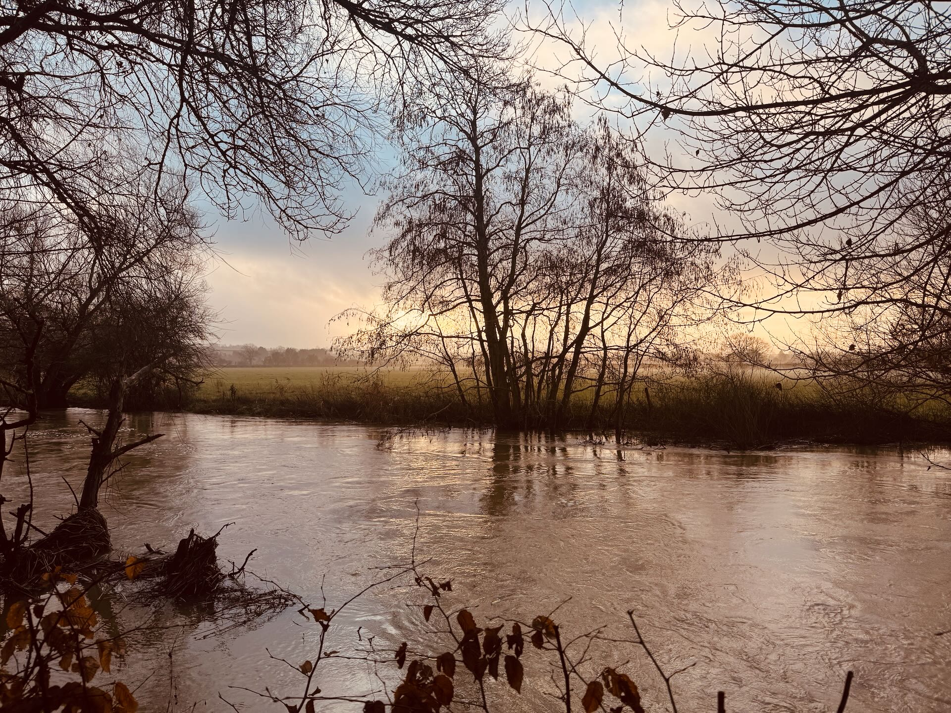 Dawn light on the River Great Ouse through bare winter trees